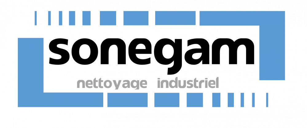 Sonegam